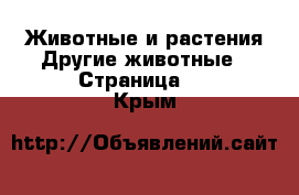 Животные и растения Другие животные - Страница 2 . Крым